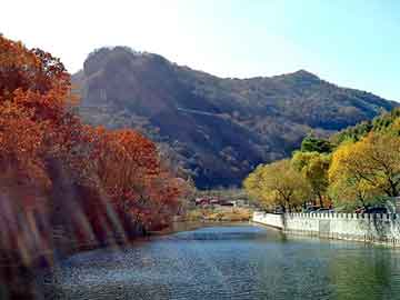 新澳天天开奖资料大全旅游团，仪器仪表配件